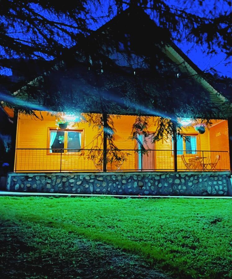 Sezatoarea Lupilor Villa Lepsa Ngoại thất bức ảnh